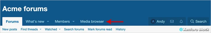AndyB Media browser-1.webp