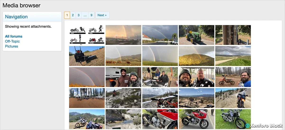 AndyB Media browser-2.webp